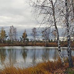 фото "Октябрьская болотная картинка"