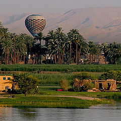 фото "By the Nile 1"