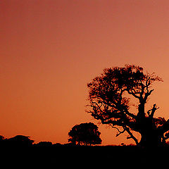 фото "Sunset gaucho"