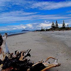 photo "Waihi Beach"