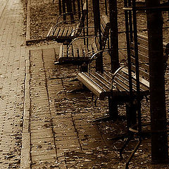фото "evening autumn benches"