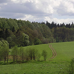 фото "эх дороги ..."