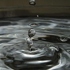 photo "The dance of drops of water"