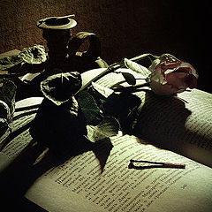 photo "Flower and the book"