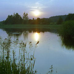 фото "Вечерняя"