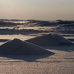 photo "Snow desert"