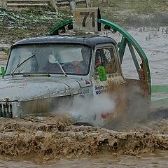 фото "пловец"