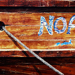 photo "Noah"