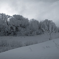 photo "Winter silence"