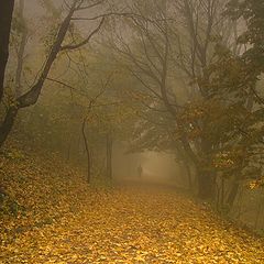 photo "Walking into Fog"