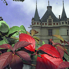 фото "Azay-le-Rideau"