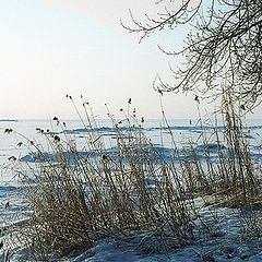 photo "Open spaces of gulf of Finland"