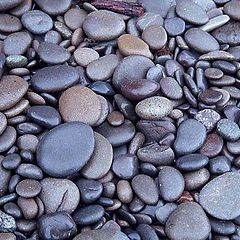 фото "beach stones, Rialto Beach, Washington State, USA"