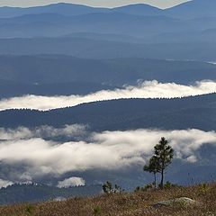 photo "over fog"