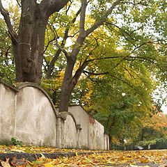 photo "Autumn street"