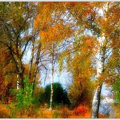 photo "On the verge of a summer and autumn"