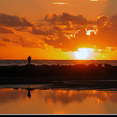 photo "The fisherman"