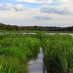 photo "let`s fish?"