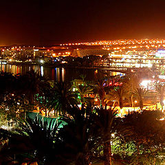 photo "Night Eilat"