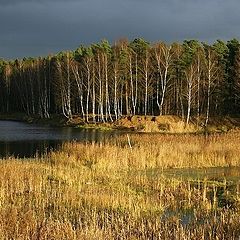 фото "Солнце выглянуло"