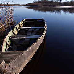 album "The native land. Karelia. Pudozh and vicinities."