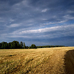 photo "The summer was terminated"