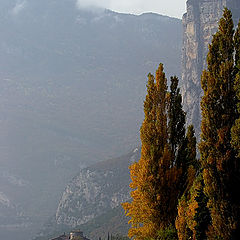 photo "The Italian autumn"