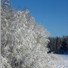 фото "Зимняя сказка"