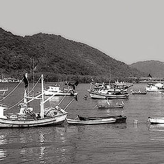 photo "Fishing boats"