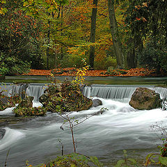 фото "Autumn"