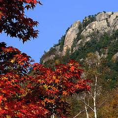 фото "Mizukakiyama II"