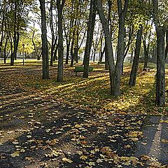 фото "Солнце и осень"