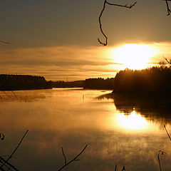 фото "Sunny morning"