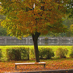 фото "Autumn. Lonely garden seat."