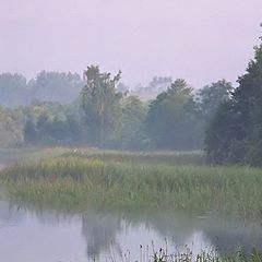 photo "Pink mist"