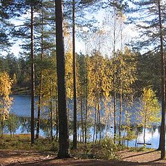 photo "Autumn Karelia"