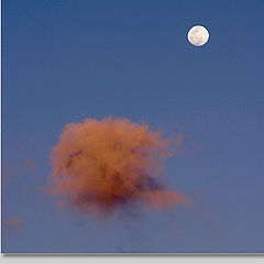 photo "The Moon and a Cloud..."