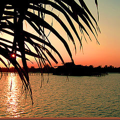 photo "Tropical sunset"