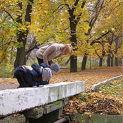 фото "где водятся волшебники?"