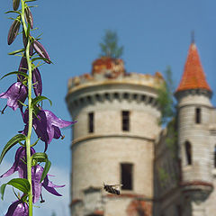 фото "Флора и фауна:))"