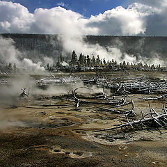 photo "Battlefield"