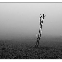 photo "Memories about former"