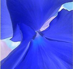 photo "blue"