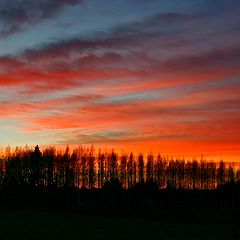 фото "November sky"