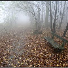 фото "Lonely bench"