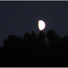 фото "The moon"