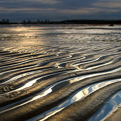 фото "Veins full of autumn sky"