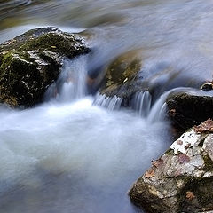 photo "perpendicular descent"