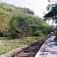 photo "The railway in jungle"