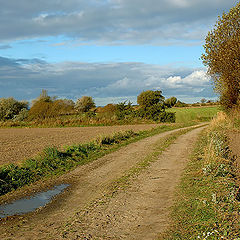 photo "October in the country"